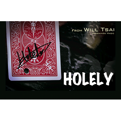 Holely (Original Version) by Will Tsai and SansMinds - Tricks