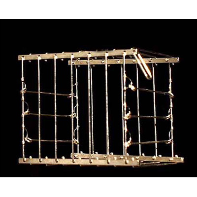 Vanishing Bird Cage by Uday - Trick