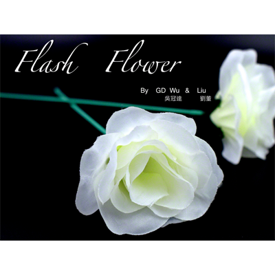 картинка White Flash Flower (2pk.) - by GD Wu & GT magicstore - Trick от магазина Одежда+