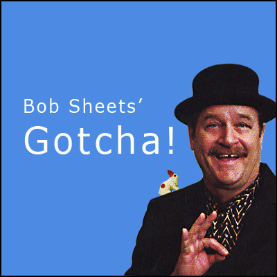 картинка Gotcha (DVD and Cards) by Bob Sheets - DVD от магазина Одежда+
